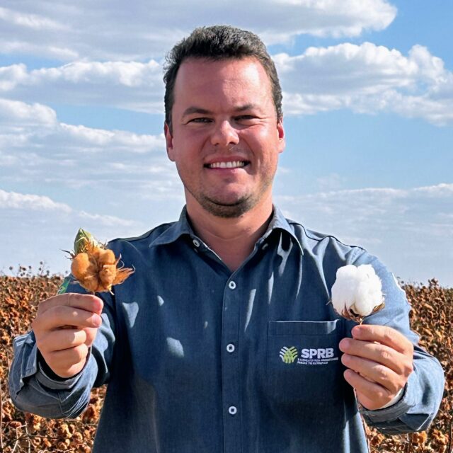  David Marcelino Almeida Schmidt