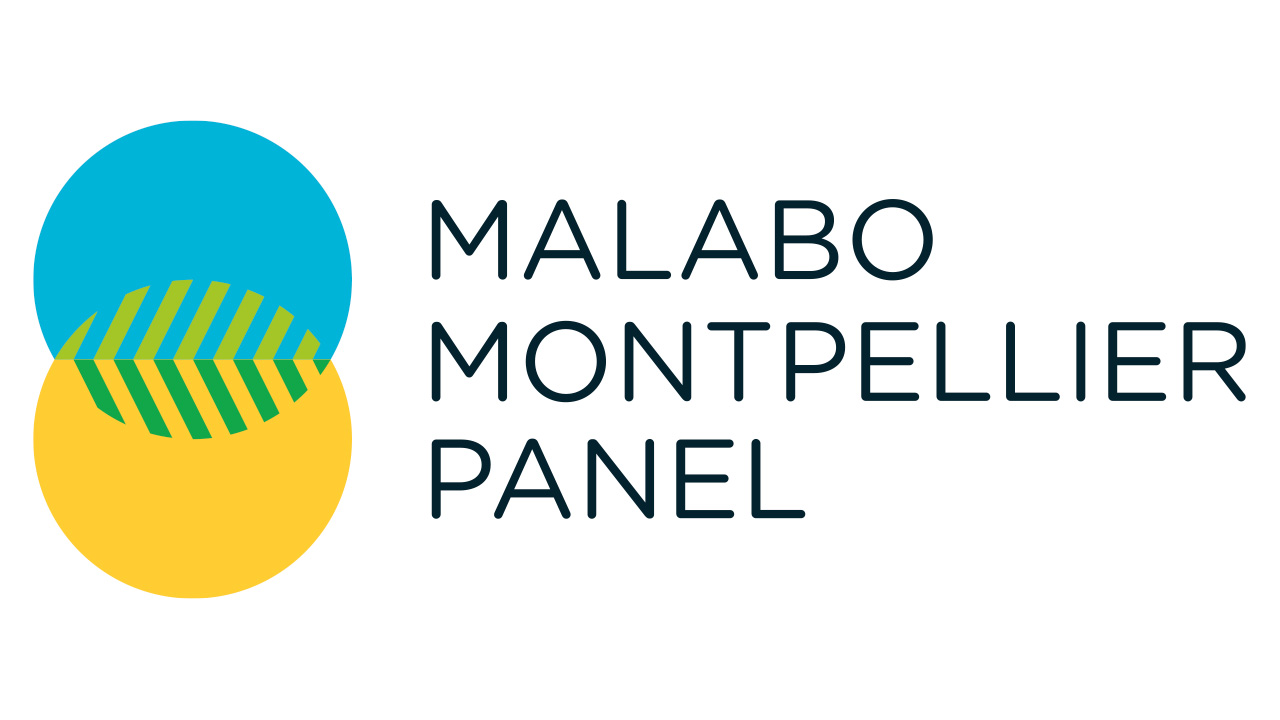 Malabo Montpellier Panel